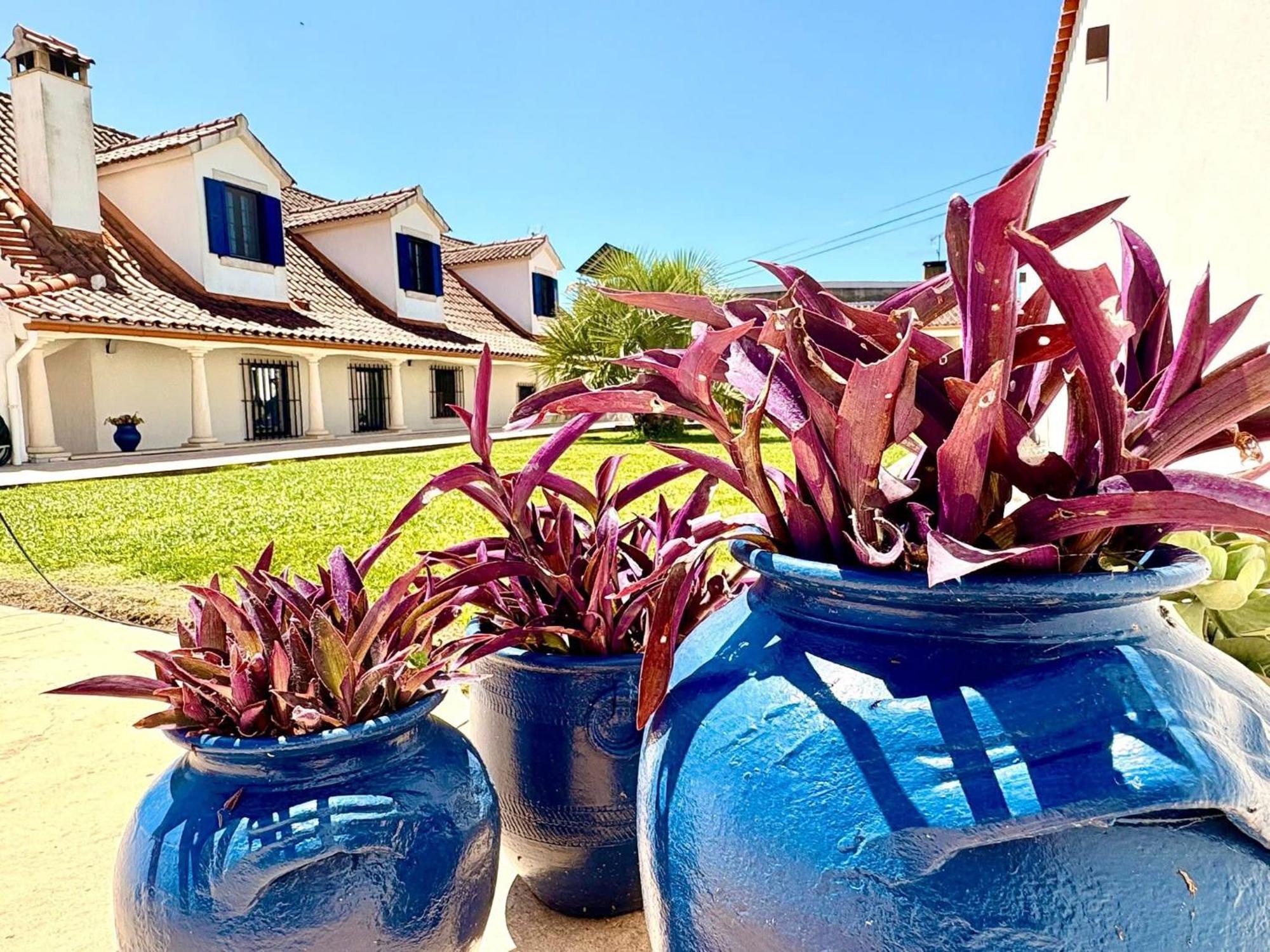 Bed and Breakfast Casal Dos Frades Fontainhas  Екстер'єр фото